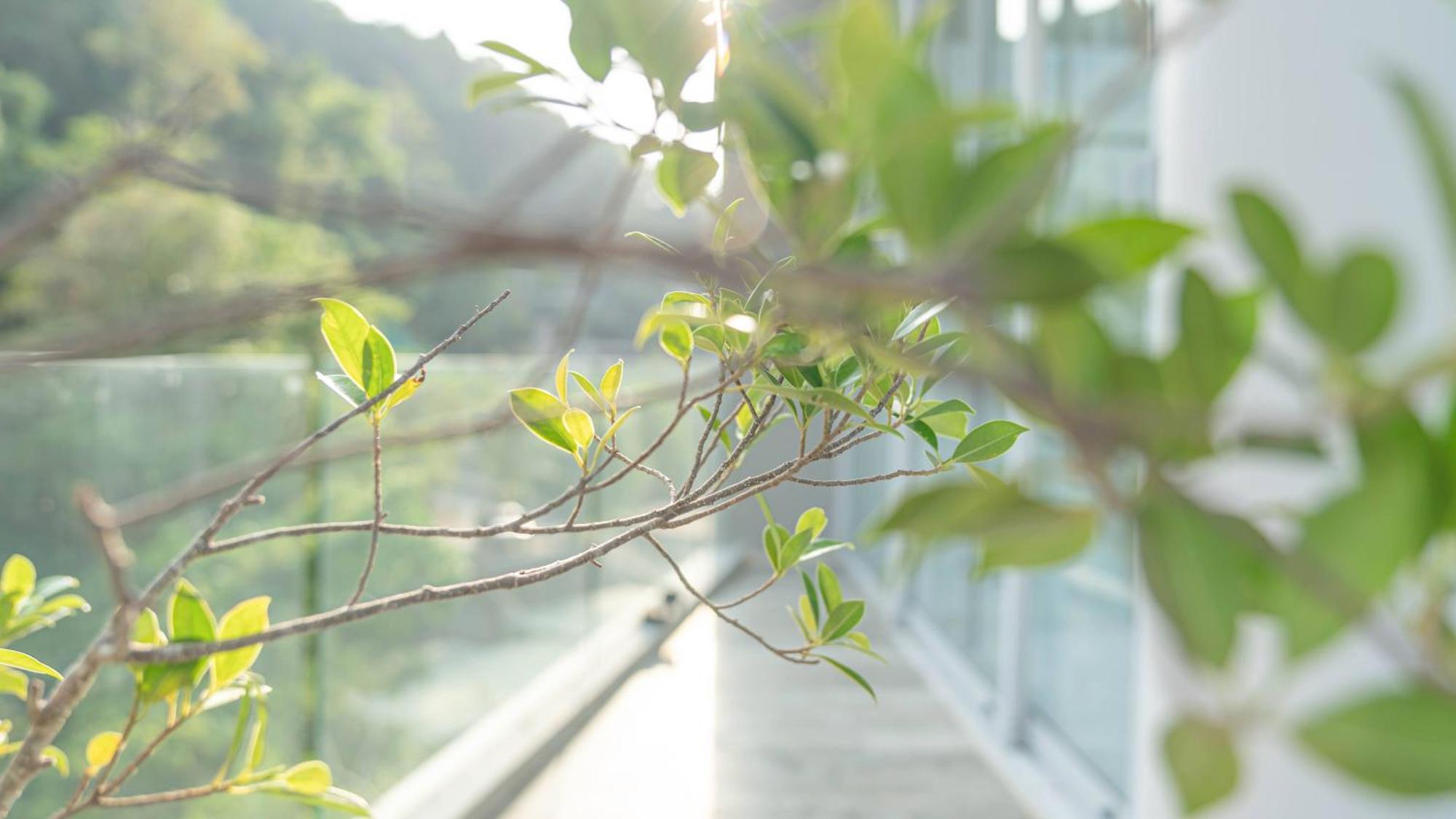 360* Ultimate Penthouse Entire Top Floor And Resort With Great Amenities หาดกมลา ภายนอก รูปภาพ